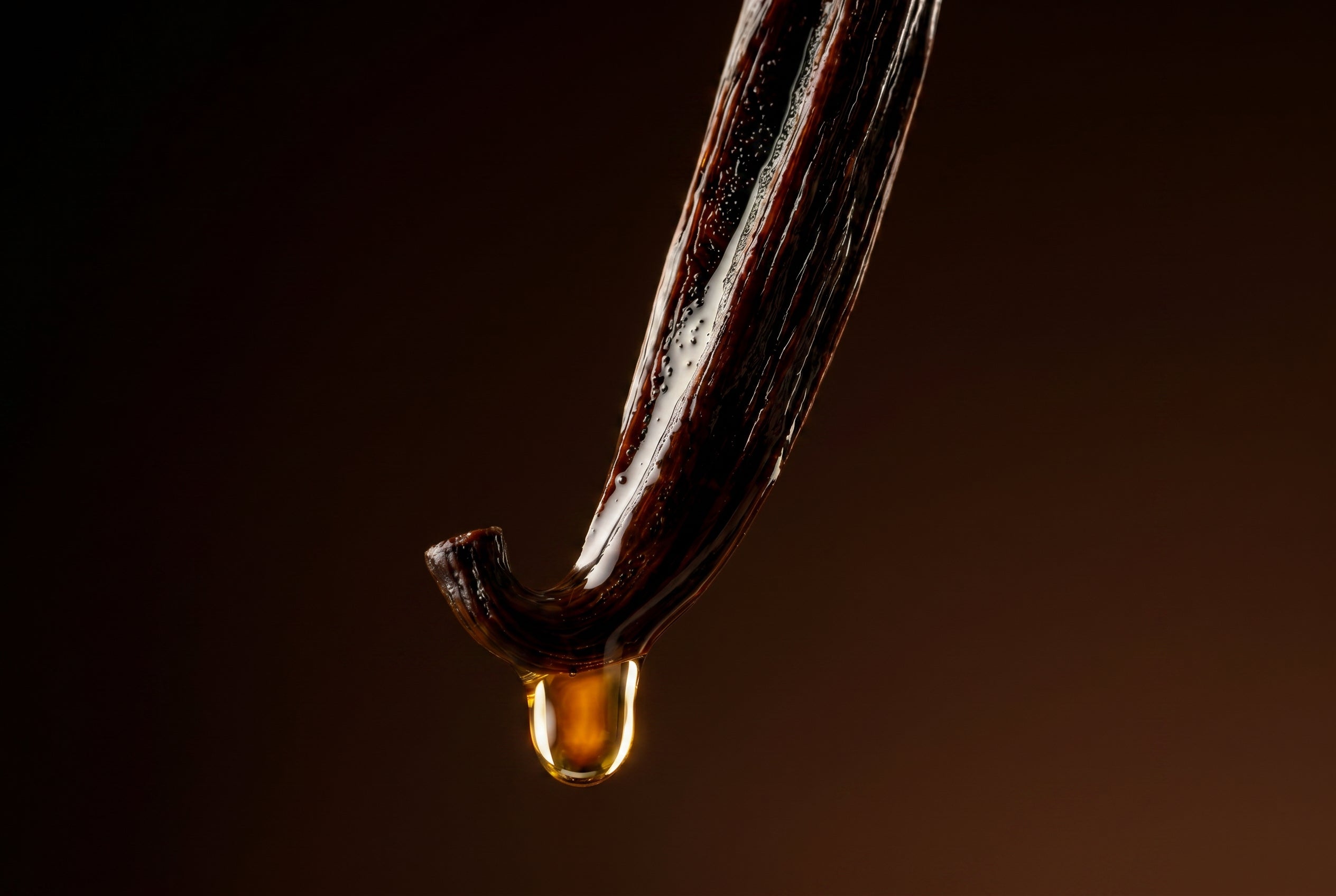 Close-up of Nicaragua vanilla used in Maison Dieux Père vodka macérat.